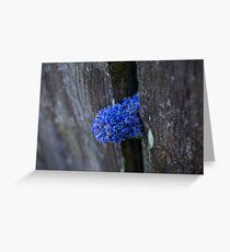 Puprle flower Greeting Card
