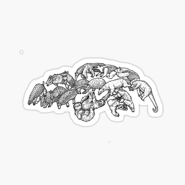 Xenarthra - Anteaters, Sloths and Armadillos - Evolution Sticker