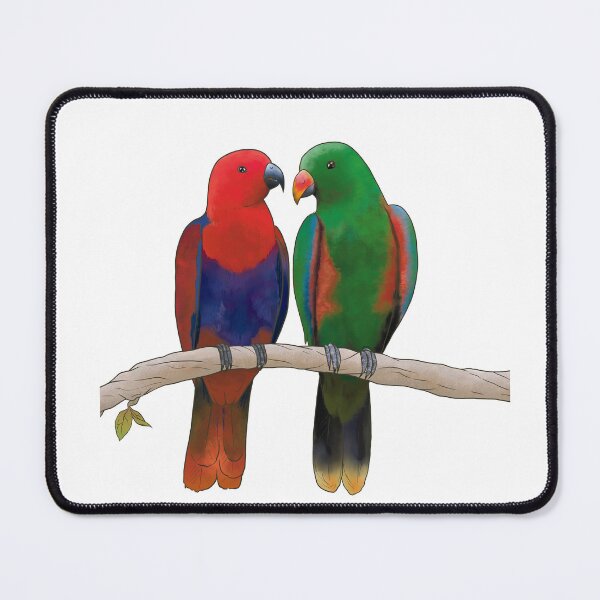 Item preview, Eclectus Parrot, Bird, Digital Drawing designed and sold by AtrixArt.