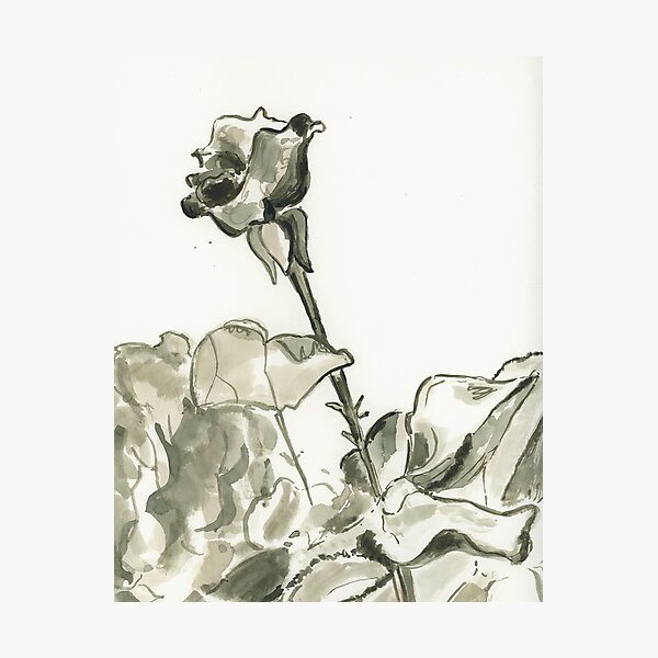 Item preview, Rose designed and sold by cconwayart.