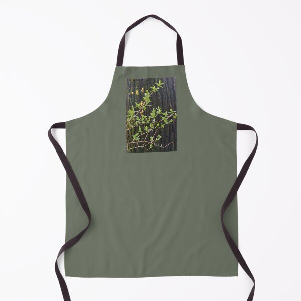 Item preview, spring, leaves, flower, spring flowers, bark tree, tree designed and sold by colorgallery11.
