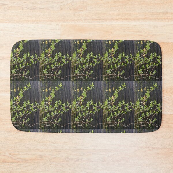 Item preview, spring, leaves, flower, spring flowers, bark tree, tree designed and sold by colorgallery11.