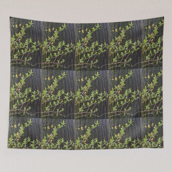 Item preview, spring, leaves, flower, spring flowers, bark tree, tree designed and sold by colorgallery11.