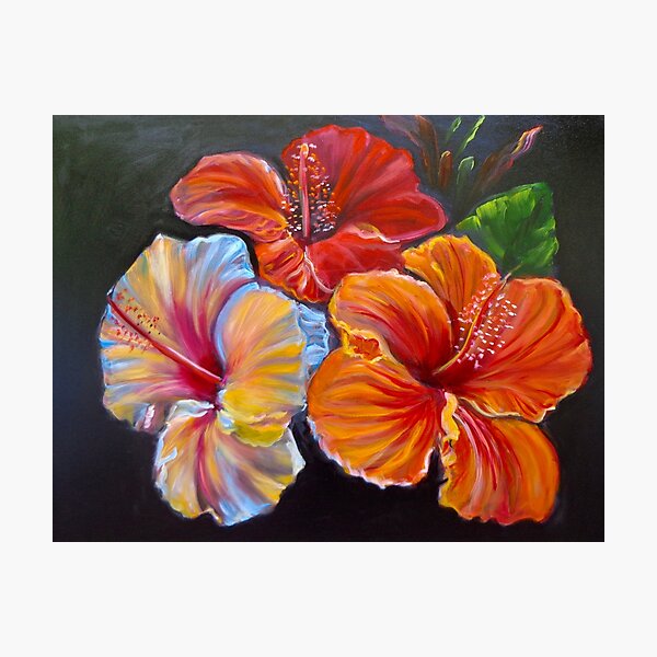 Item preview, Triiple Tropical Colorful Hibiscus designed and sold by jennyleeandjim.