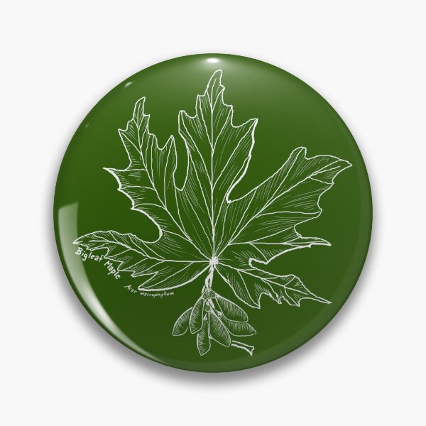 Item preview, Bigleaf Maple Line Art designed and sold by Fernheart Designs.