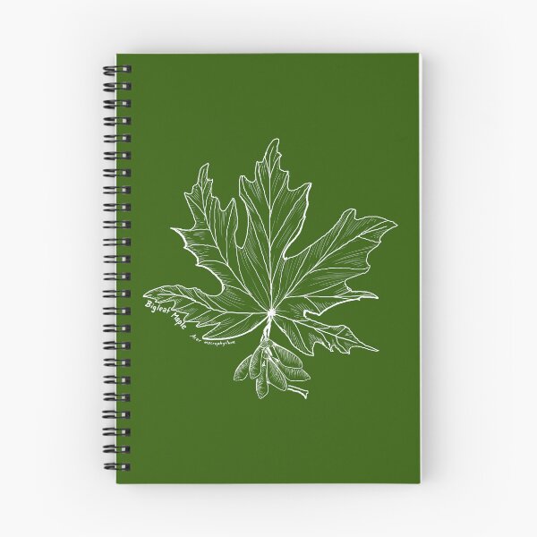Item preview, Bigleaf Maple Line Art designed and sold by Fernheart Designs.