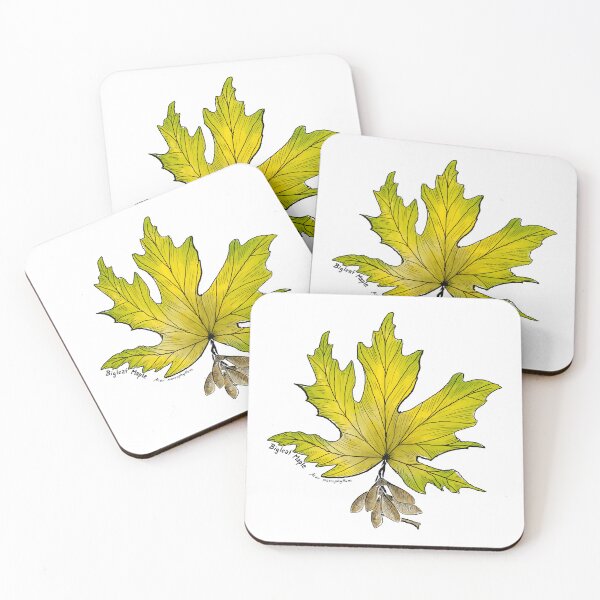 Item preview, Bigleaf Maple designed and sold by Fernheart Designs.