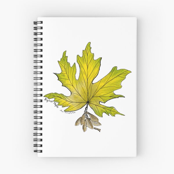 Item preview, Bigleaf Maple designed and sold by Fernheart Designs.