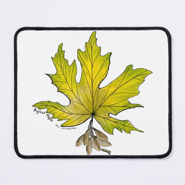 Item preview, Bigleaf Maple designed and sold by Fernheart Designs.