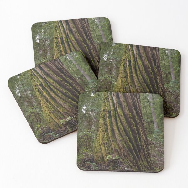 Item preview, Moss-Covered Trunk of Massive Redwood Tree designed and sold by BirdsEyePhoto.