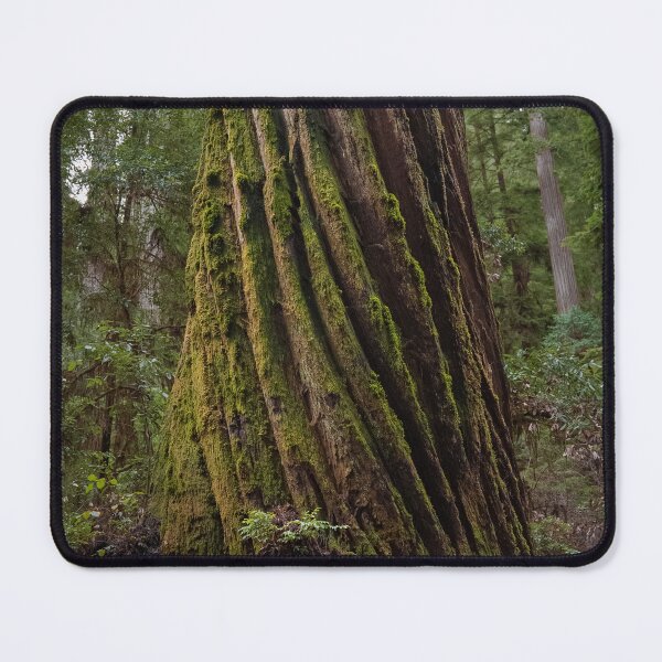 Item preview, Moss-Covered Trunk of Massive Redwood Tree designed and sold by BirdsEyePhoto.