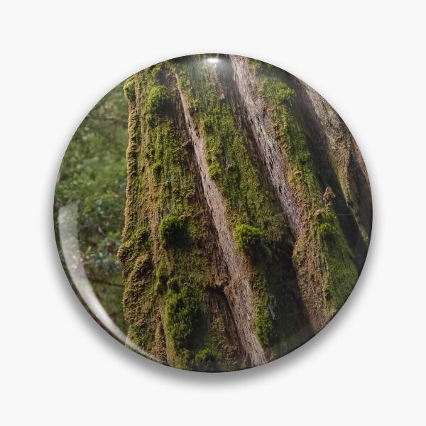 Item preview, Moss-Covered Trunk of Massive Redwood Tree designed and sold by BirdsEyePhoto.