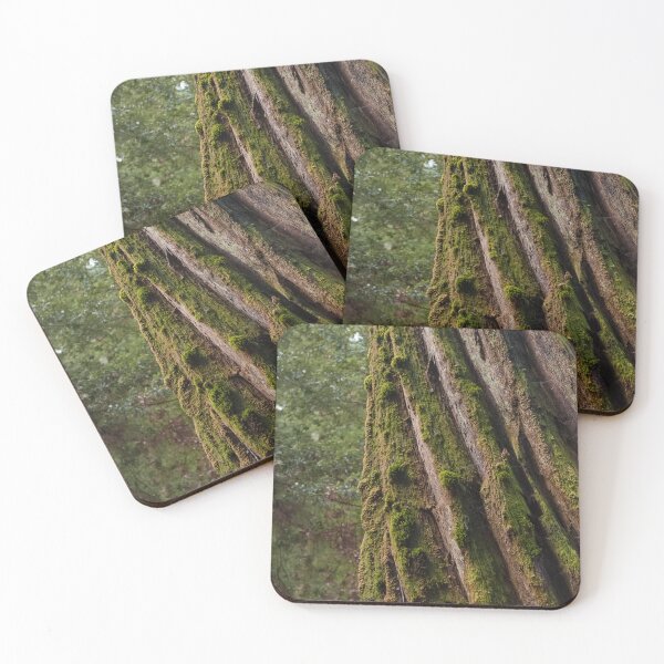 Item preview, Moss-Covered Trunk of Massive Redwood Tree designed and sold by BirdsEyePhoto.