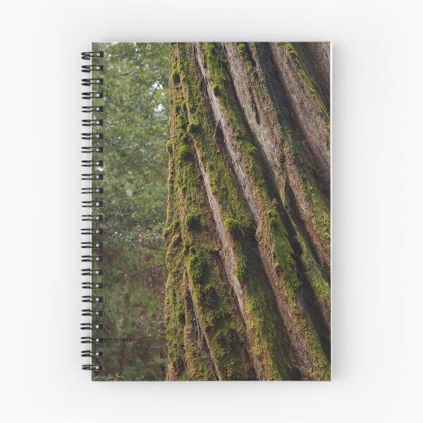 Item preview, Moss-Covered Trunk of Massive Redwood Tree designed and sold by BirdsEyePhoto.