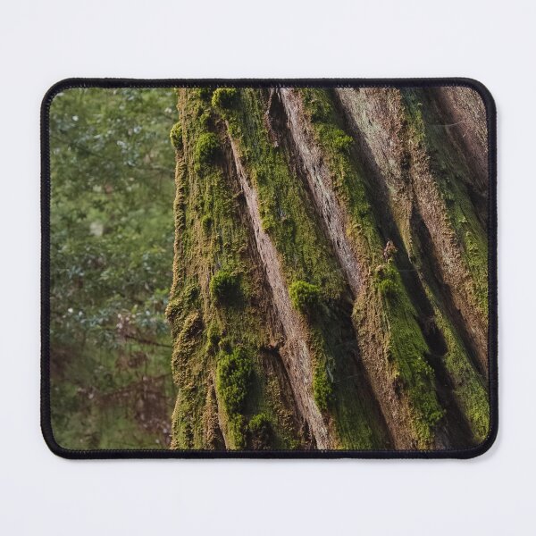 Item preview, Moss-Covered Trunk of Massive Redwood Tree designed and sold by BirdsEyePhoto.