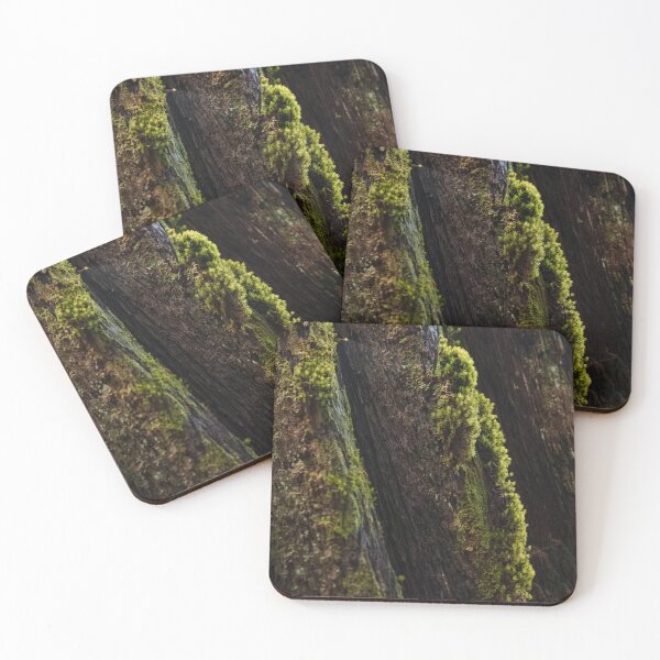 Item preview, Moss-Covered Trunk of Massive Redwood Tree designed and sold by BirdsEyePhoto.