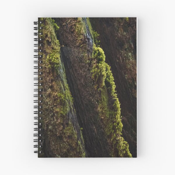 Item preview, Moss-Covered Trunk of Massive Redwood Tree designed and sold by BirdsEyePhoto.