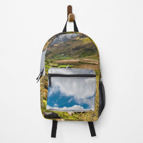 Item preview, Nant Ffrancon Valley in Snowdonia designed and sold by AJEvans.