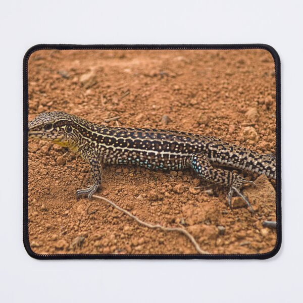 Item preview, Alk a salamander designed and sold by pcfyi.