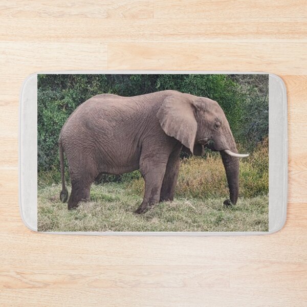 Item preview, Majestic Elephant of Samburu designed and sold by annenambiro.