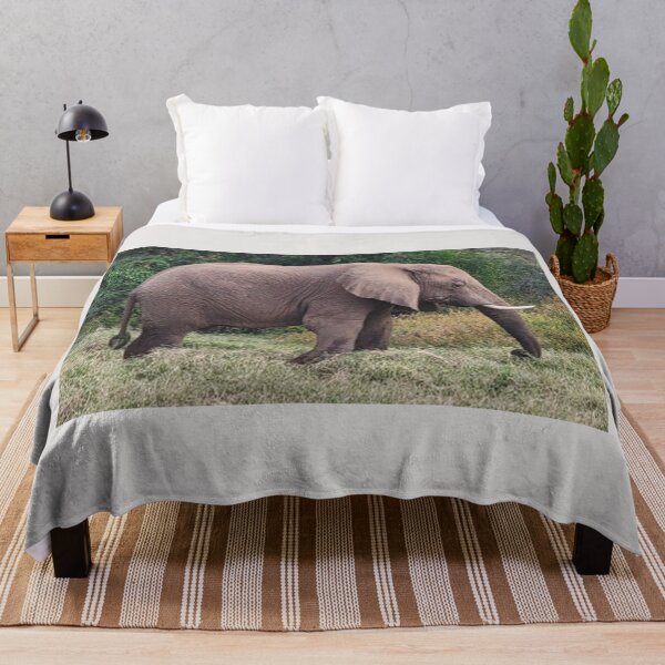 Item preview, Majestic Elephant of Samburu designed and sold by annenambiro.