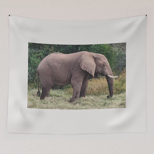 Item preview, Majestic Elephant of Samburu designed and sold by annenambiro.
