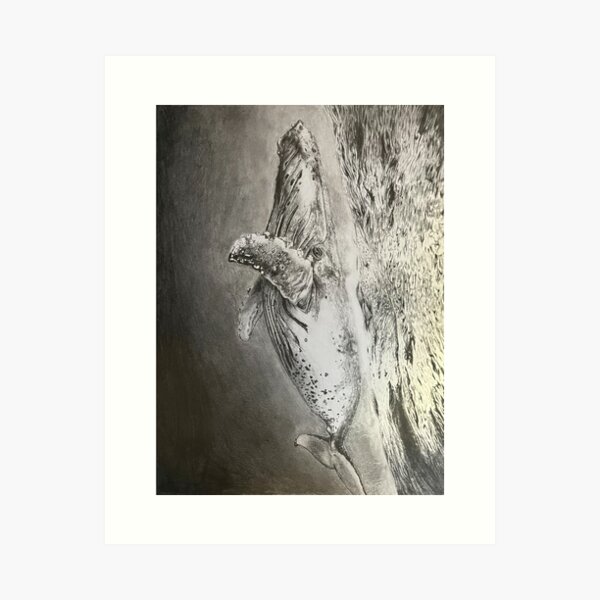 Vista previa del artículo con la obra «Ballena jorobada nadando bajo la superficie», diseñado y vendido por Coal-Draws.