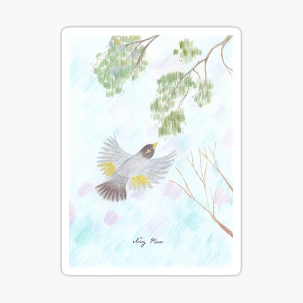 Vista previa del artículo con la obra «Dibujo a lápiz de color de Noisy Miner», diseñado y vendido por ruthregency.