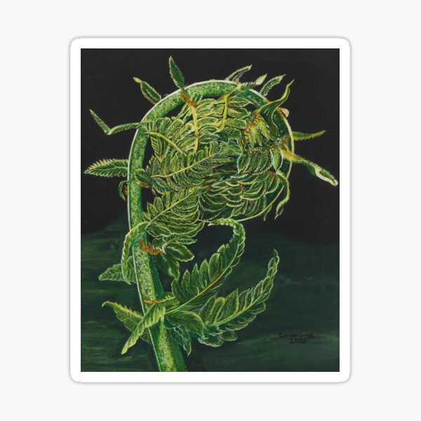 Item preview, Fiddlehead Fern designed and sold by CindyKGuyArt.
