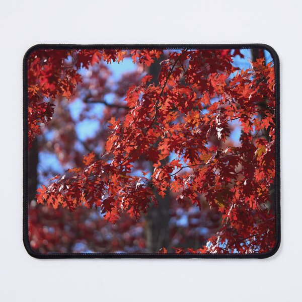 Aperçu de l'œuvre Feuilles rouges en automne créée et vendue par lessplay.