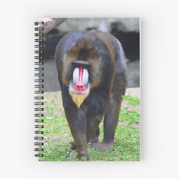 Item preview, Animals and Wildlife - Mandrill Monkey  designed and sold by SammySDesigns.