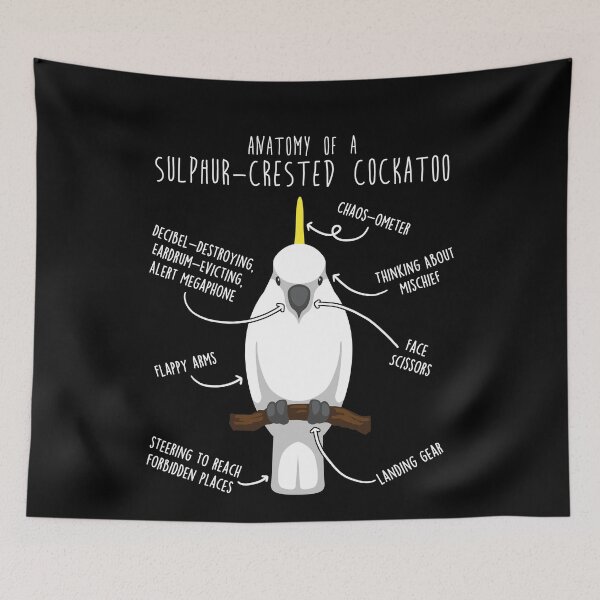 Item preview, Sulphur-Crested Cockatoo Parrot Anatomy designed and sold by Clara Hollins.
