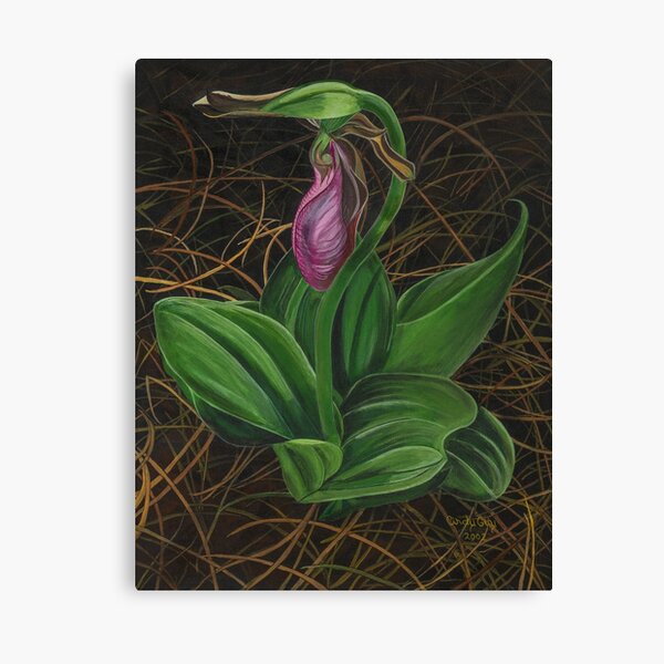 Item preview, Lady Slipper designed and sold by CindyKGuyArt.