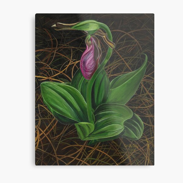 Item preview, Lady Slipper designed and sold by CindyKGuyArt.