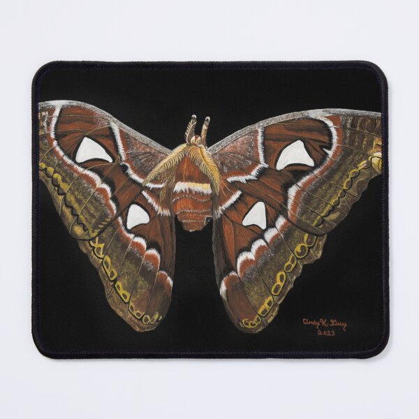 Item preview, Atlas Moth designed and sold by CindyKGuyArt.