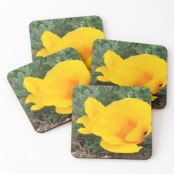 Item preview, Gold Blooming designed and sold by Betsy Phillips.