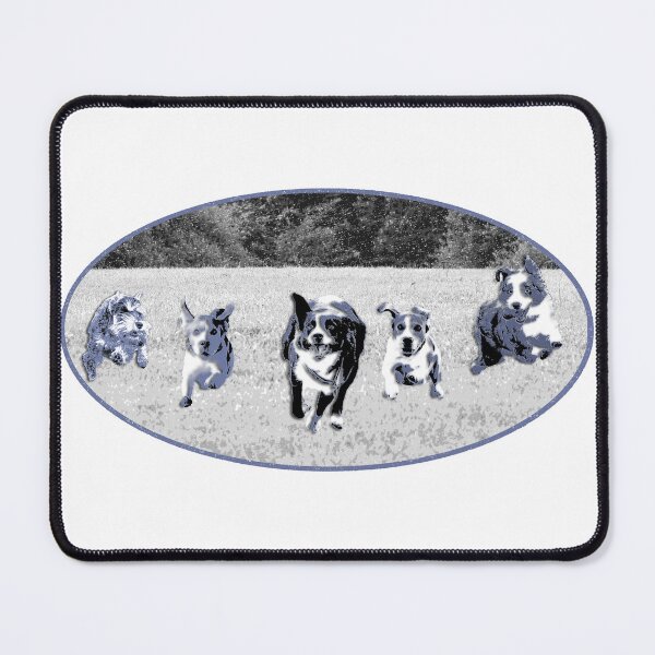 Item preview, Lucky dogs get the zooms designed and sold by ImALuckyDog.