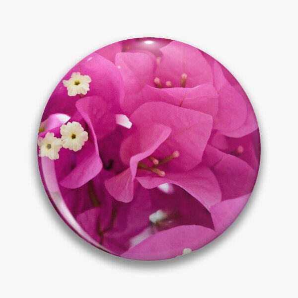 Item preview, Explosion of color: bougainvillea in bloom designed and sold by franck380.