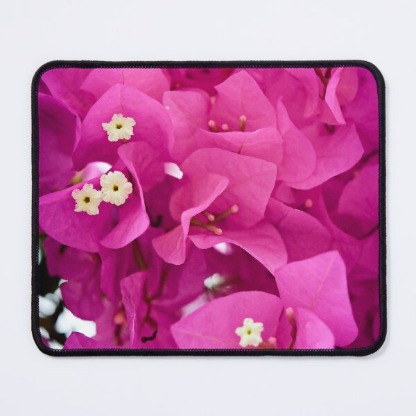 Item preview, Explosion of color: bougainvillea in bloom designed and sold by franck380.