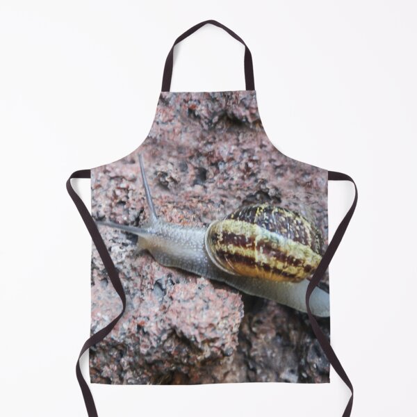 Item preview, Winner of the Snail Race! designed and sold by heatherfriedman.