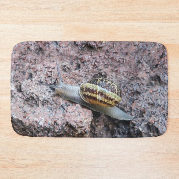 Item preview, Winner of the Snail Race! designed and sold by heatherfriedman.