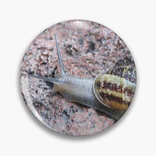 Item preview, Winner of the Snail Race! designed and sold by heatherfriedman.