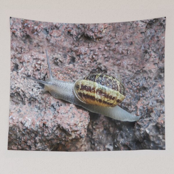Item preview, Winner of the Snail Race! designed and sold by heatherfriedman.