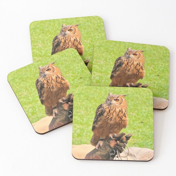 Item preview, Malay fish owl bird of prey designed and sold by FranWest.