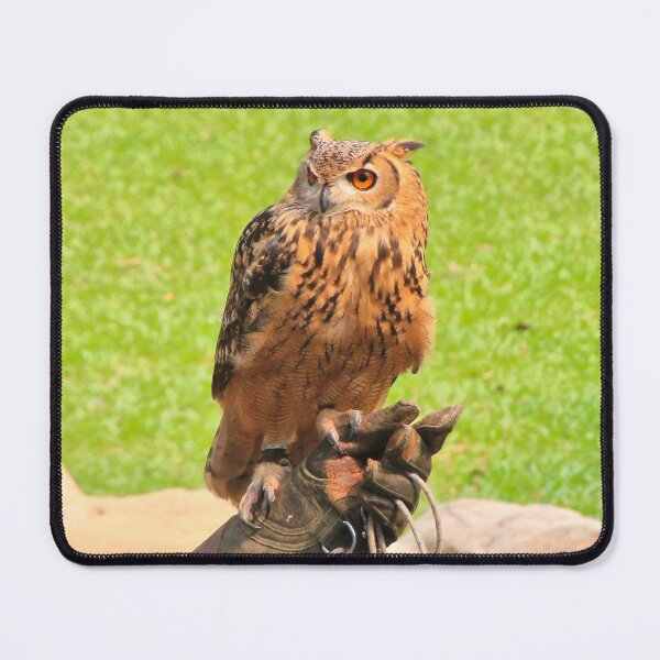 Item preview, Malay fish owl bird of prey designed and sold by FranWest.