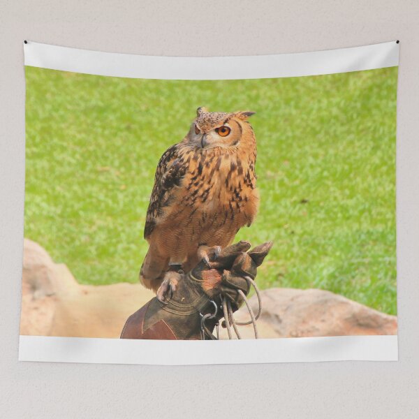 Item preview, Malay fish owl bird of prey designed and sold by FranWest.