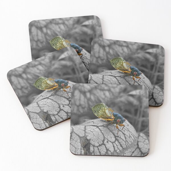 Item preview, Hot Cicada Summer designed and sold by indigrassy.