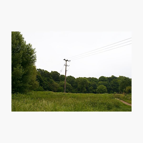 Aperçu de l'œuvre Paysage - Seul pylône créée et vendue par SammySDesigns.