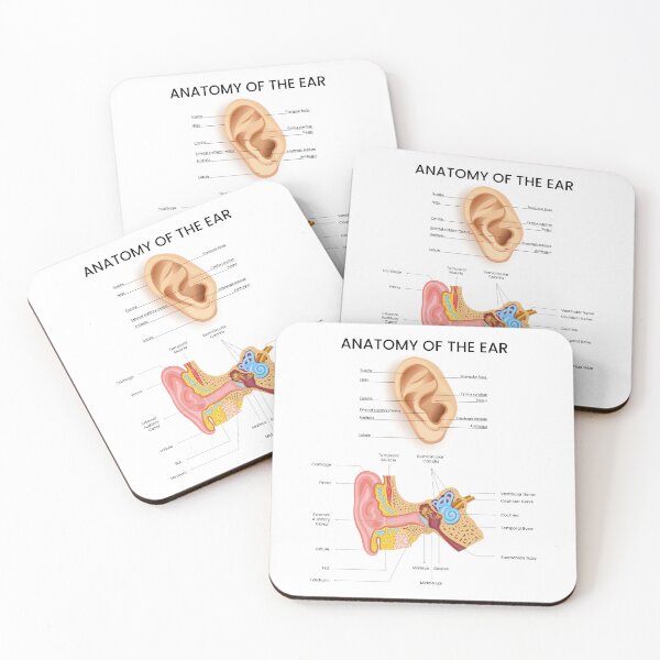 Item preview, Anatomy of the Ear – Medical Science Illustration designed and sold by InspireSticker.