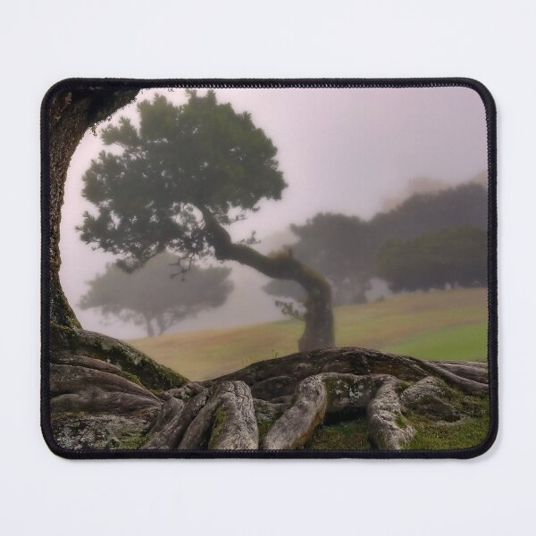 Item preview, Fanal forest designed and sold by andreisky.